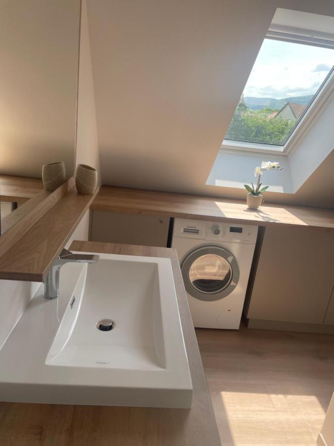 La Cle Des Vignes 2 Apartment Ribeauville  Luaran gambar